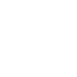 Data shield
